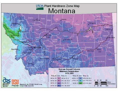 montana-vegetable-planting-calendar Growing Zones Map, Vegetable Planting Calendar, Montana Landscape, Vegetable Planting, Plant Hardiness Zone Map, Planting Calendar, Hardiness Zones, Vegetable Farming, Plant Zones