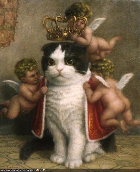 haha. is this art? i dont know and i dont care Lady Cat, Grumpy Cat, Cat Painting, Marie Antoinette, Crazy Cat Lady, 귀여운 동물, White Cat, Crazy Cats, Cat Lady