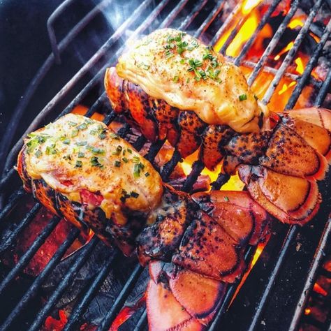 Heads or Tails? Well it looks like tails won here - lobster tails folks! You like? 😋 🦞 🦞 📷 @tremblaybbq Lobster tails 🦞 🦞  🦞 🦞 #tremblaybbq #grill #delicious #lobster #bbqlobster #grilledlobster #lobstertail #bbqlobstertail #lobsterfeast #bbqfeast #bbqlegend #bbqlads #bbqlife #instabbq #bbq #instafood #instaeat #foodporn #firecooking #kingofthegrill #barbecue #grillking #bbqquebec 🦞 🦞 🤘 Tag you lobster loving mates! 🤘 Bbq Lobster Tails, Red Beans And Rice Recipe Crockpot, Easy Romantic Dinner, Baked Lobster Tails, Broil Lobster Tail, Cooking Lobster Tails, Steamed Lobster, Grilled Lobster Tail, Red Beans N Rice Recipe