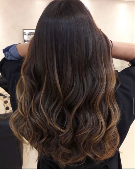 Caremal Brown Highlight, Highlights Bottom Half Of Hair, Chestnut Brown With Highlights, Brown Highlights On Black Hair Straight, Brunette Partial Balayage, Caramel Balayage On Black Hair, Rich Brunette Balayage, Caramel Babylights, Babylights Brunette