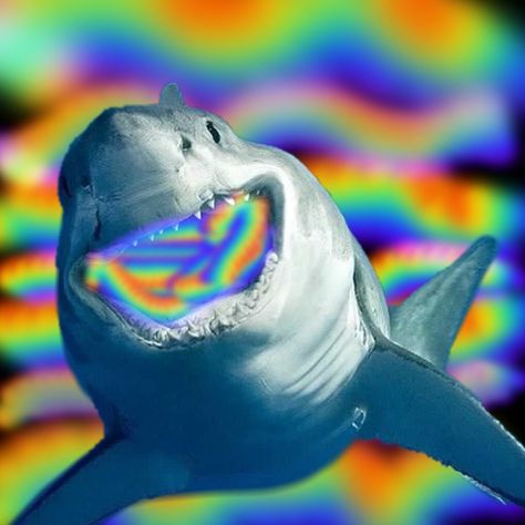 Rainbow shark Rainbow Shark, Shark Background, Sharks, Rainbow, Wallpapers, Fictional Characters, Quick Saves, Art