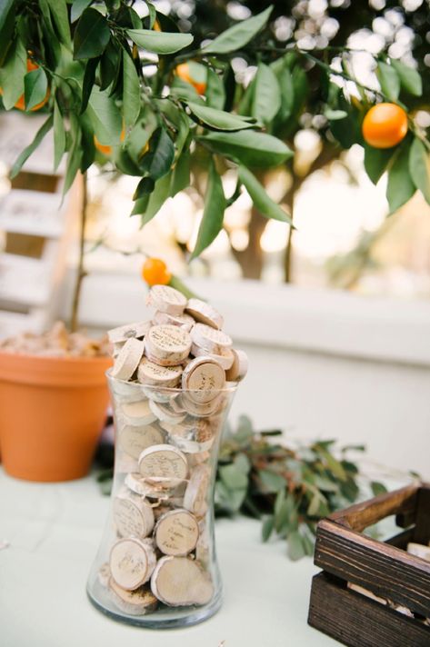 Old Florida Wedding Theme, Florida Themed Party, Vintage Florida Wedding, Florida Winter Wedding, Old Florida Wedding, Old Florida Decor, Sage And Orange, Cute Calligraphy, Couple Getting Married