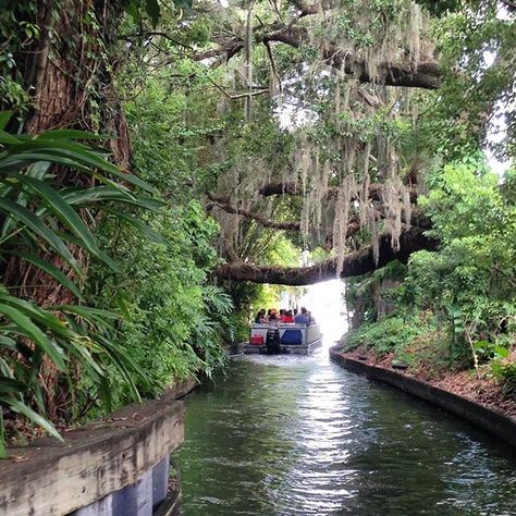 <b> <a href="http://www.scenicboattours.com/">Scenic Boat Tour </a></b> <br> 312 East Morse Blvd., Winter Park, 407-644-4056,<b> $14 </b> <br> Go on an 18-passenger pontoon boat ride through three of the seven lakes and two canals in Winter Park. While you may get lucky and spot cranes or alligators during the tour, you’ll definitely see large cypress trees, swaying palms, lush sub-tropical flowers and views of extravagant homes along the banks. Tours leave on the hour from 10 a.m. to 4 p.m. ... Winter Park Orlando, Things To Do Orlando, Winter Park Florida, Extravagant Homes, Orlando Theme Parks, Florida Adventures, New Smyrna Beach, Winter Park, Down South