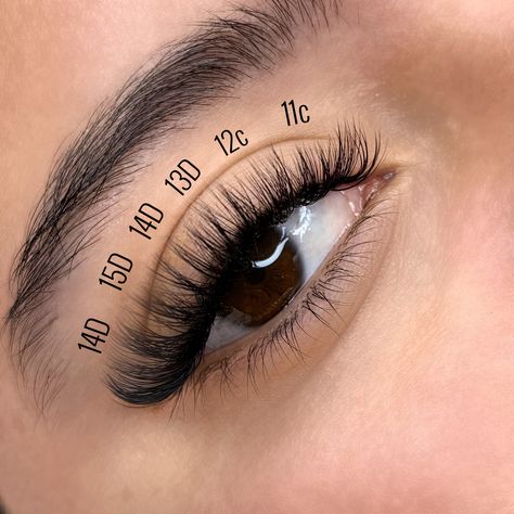 Volume eyelashes with lash mapping Volume Lash Extensions Mapping, Eyelash Extensions Mapping, Hybrid Lash Extensions Map, Hybrid Lash Map, Lash Curls, Lash Ideas, Lash Maps, Lash Map, Natural Fake Eyelashes