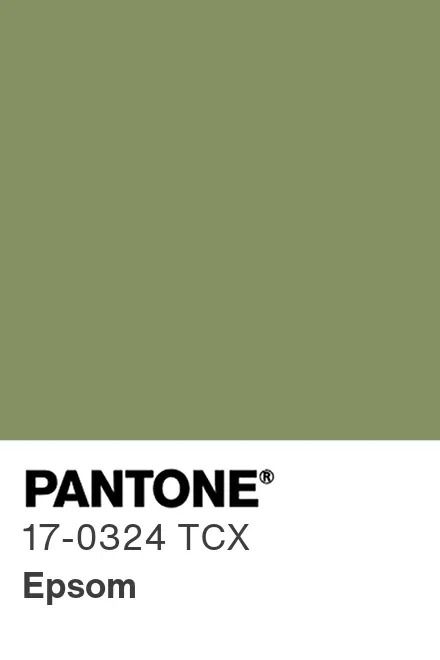 PANTONE® USA | PANTONE® 17-0324 TCX - Find a Pantone Color | Quick Online Color Tool Modern Farmhouse Bohemian, Pantone Green, Green Pantone, 2025 Manifestation, Color Design Inspiration, Mood Food, Pantone Colors, Peridot Green, Universal Works