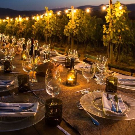 Vineyard Dinner Party, Italian Dinner Table, Vineyard Dinner, Zebra Wedding, Vineyard Photography, Italian Themed Parties, Italian Vineyard, Holiday In Italy, Italian Party