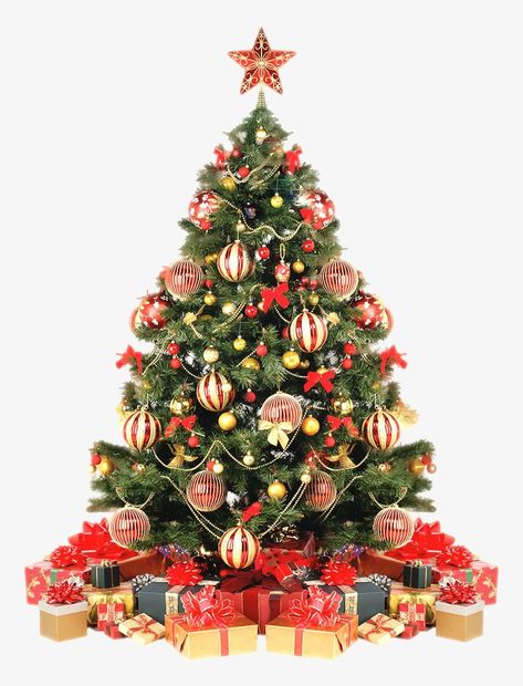 Tree With Presents, Xmas Tree Toppers, Christmas Tree Hat, Gold Christmas Tree Decorations, Christmas Tree Star Topper, Christmas Tree With Presents, Plastic Christmas Tree, Christmas Tree Tops, Christmas Tree Star