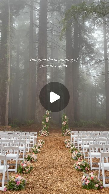 Marcia Davis on Instagram: "Can you see the magical flowers yet 🌸?
If you found this reel you might be planning a wedding and the algorithm sent this your way.
And if you are searching for your dream forest wedding getaway- search no further.
You found it!
Northern California (Humboldt County) has so many incredible forest locations to say “I do”.
Amongst some of tallest trees in the world; it would make for an unforgettable story.

We have amazingly talented vendors and venues to make your dream day a reality and I have a list of them to refer to you!

I specialize in whimsical floral design and creating fairytale floral stories is where my heart lies.

Forests 🌲 + Florals 🌸 + Fairytale’s 🧚‍♀️ is what we do.

Reach out today for your wedding florals to reserve your date!

2024 has a f Wedding Getaway, Magical Flowers, Dream Forest, Humboldt County, Dream Day, Tall Trees, Planning A Wedding, Forest Wedding, Wedding Florals