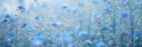 Flower Header Twitter, Blue Twitter Header, Flower Header, Tumblr Flower, Blue Header, 트위터 헤더, Rainy Wallpaper, Header Tumblr, Cute Twitter Headers