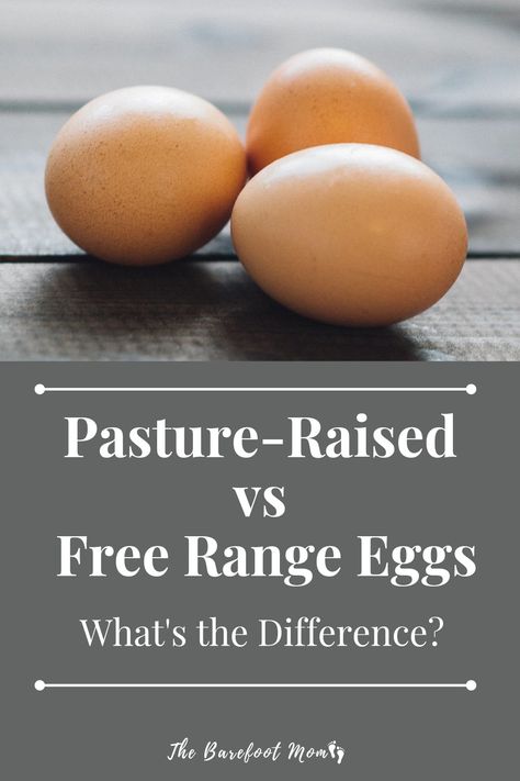 What do the labels on your eggs actually mean? Free Range Eggs, Pasture Raised Eggs, Cage Free Eggs, Egg Production, Wellness Journey, Free Range, Have You Ever, My Family, Cooking Tips