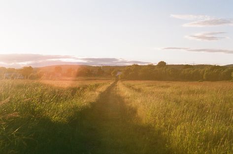 Super 8 Film Aesthetic, 8mm Film Aesthetic, Farmland Aesthetic, Golden Hour Field, Cmbyn Aesthetic, Childhood Aesthetic, Film Shot, Nature Projects, Canon Ae 1