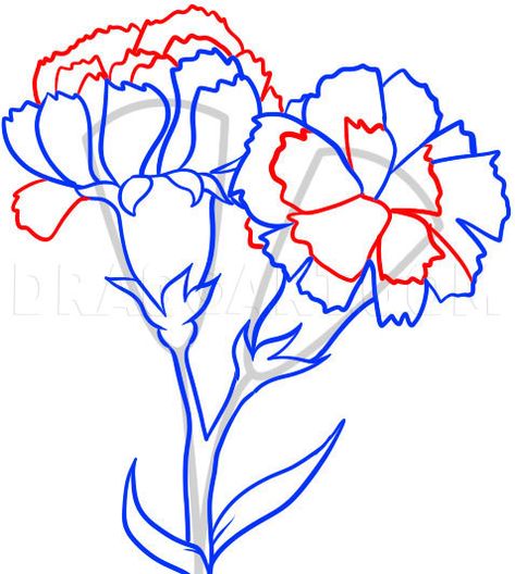 How To Draw Carnations, Step by Step, Drawing Guide, by Dawn | dragoart.com Flower Drawing Tutorial Step By Step, Carnation Drawing, How To Draw Flowers, Draw Flowers, Flower Drawing Tutorials, Flower Drawings, Flowers Drawing, Watercolor Paintings For Beginners, Carnation Flower