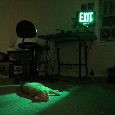 Dark Green Aesthetic, + Core + Aesthetic, Cinematic Photography, Green Aesthetic, Photography Inspo, Aesthetic Photography, The Floor, 그림 그리기, Dark Aesthetic