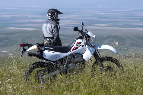 2023 Honda XR650L Review [30th Anniversary Retrospective] Honda Xr650l, Don Williams, Dual Sport Motorcycle, Motorcycle Manufacturers, Honda S, Dual Sport, Adventure Motorcycling, Big Bear, Trail Riding