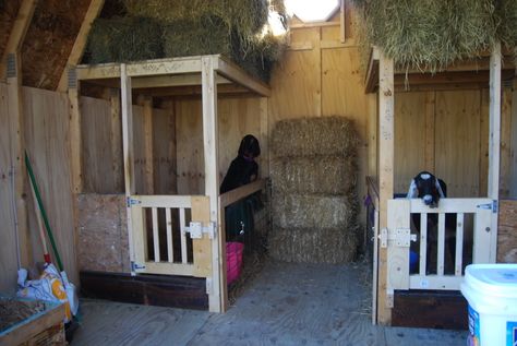 Better shot of the gates hubby made. He is going to be replacing the cattle panels with wooden slats shortly. We ran out of time and just put up the panels. Goat Shed, Goat Shelter, Goat Pen, Small Goat, Mini Goats, Barn Stalls, Goat House, Goat Care, Goat Barn