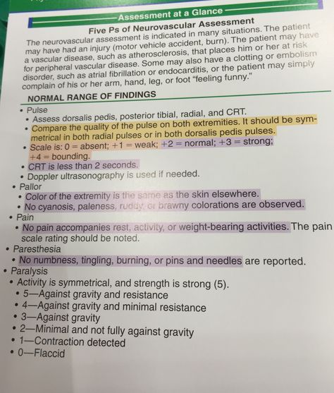 Neurovascular assessment Neurovascular Assessment, Nurse Charting, Neuro Assessment, Health Assessment Nursing, Assessment Nursing, Nurses Notes, Charting For Nurses, Nursing Cheat Sheet, Books Notes