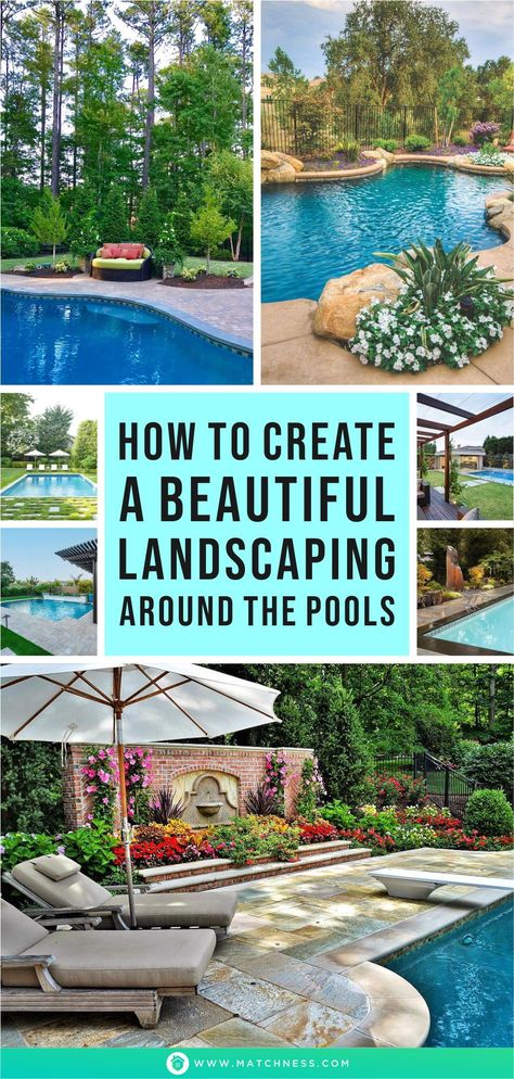 Swimming Pools Backyard Landscape, Gorgeous Landscaping, Landscaping Around Pool, Simple Pool, Garden Escape, Inground Pool Landscaping, Pool Shade, Dream Backyard Pool, Kleiner Pool Design