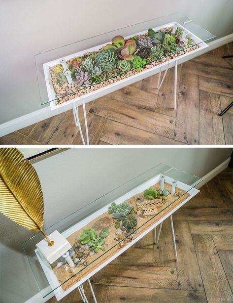 Terrarium Table, Modern Table Design, Eating Table, Glass Table Top, Grow Plants, Plant Table, Cactus Y Suculentas, Back Gardens, Glass Top Table