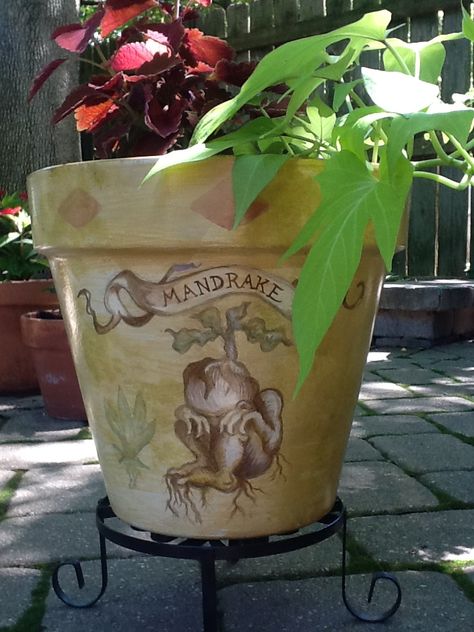 Harry Potter Plant Pot, Harry Potter Flower Pot, Mandrake Pot, Mandrake Flower, Harry Potter Pottery, Harry Potter Plants, Harry Potter Mandrake, Kid Craft Ideas, Diy Harry Potter