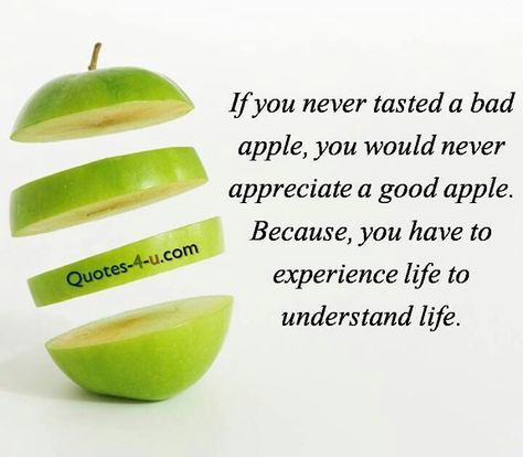 taste the bad apples until you find the good apple and keep that one, don't give it away Apple Quotes, Welcome Quotes, Fruit Press, Letting Go Quotes, Bad Apple, Hot Apple Cider, Experience Life, Bad Life, Tomorrow Will Be Better