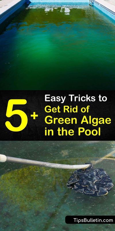 Pool Opening Tips, How To Get Rid Of Algae In Pool, Pool Algae How To Get Rid, Algae In Pool How To Get Rid Of, Above Ground Pool Cleaning Hacks, Black Algae In Pool, Saltwater Pool Care, Clean Green Pool, Salt Water Pool Maintenance