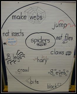 Spiders Kindergarten, Spider Lessons, Spiders Preschool, Spider Unit, The Very Busy Spider, October Lessons, Spider Activities, Message Ideas, October School