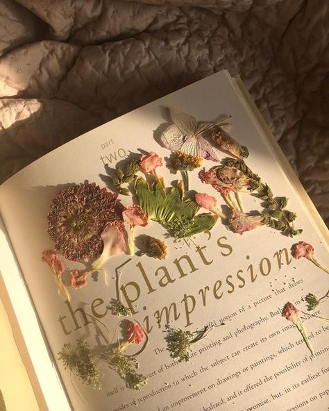 greene is gold on Instagram: "Pressing flowers in prep for the butterfly collection restock! If you’re looking to get into pressing flowers yourself I definitely recommend this book. It’s called The Pressed Plant and is by Andrea DiNoto and David Winter! I didn’t press my flowers in this book but it was super informative🦋💘" Plant Press, Pressing Flowers, Green Academia, Butterfly Collection, Pressed Flower, The Butterfly, Insta Photo Ideas, Book Aesthetic, Botany