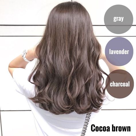 Balayage Medium, Honey Aesthetic, Medium Brunette, Highlights Brunette, Blonde Ideas, Hair Color Asian, Korean Hair Color, Highlights Color, Ash Brown Hair