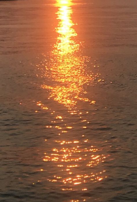 sun reflected on water Leo Energy Aesthetic, Leo Sun Aesthetic, Sun Reflection On Water, Sun Kissed Aesthetic, Sun Underwater, Sun On Water, Chart Aesthetic, Sunlight On Water, Honey Aesthetic