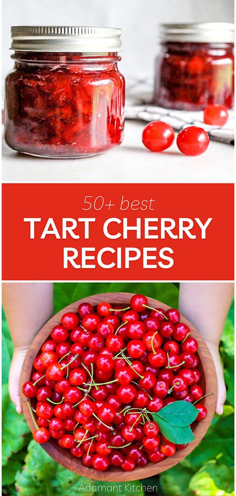 Pin Cherry Recipes, Tart Cherry Recipes, Healing Tea Recipes, Tart Cherries Recipes, Sour Cherry Recipes, Cherry Popsicles, Cherry Recipes Dessert, Cherry Drink, Food Recipes Healthy