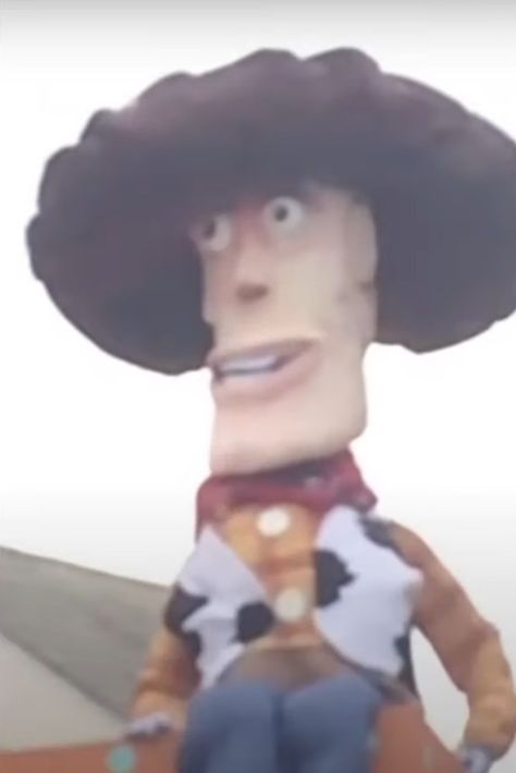 The Barnyard Memes, Cursed Woody, Cursed Pictures, Toy Story Woody, Funny Animal Photos, Quality Memes, Goofy Pictures, Funny Profile, Funny Doodles