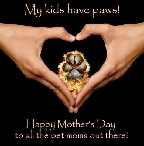 Happy Mother's Day To All Mothers From Nina Hollander Fur Baby Quotes, Dog Mothers Day, Fur Mom, Pet Mom, Mothers Day Quotes, Mom Day, Dog Pin, Baby Quotes, Animal Hospital