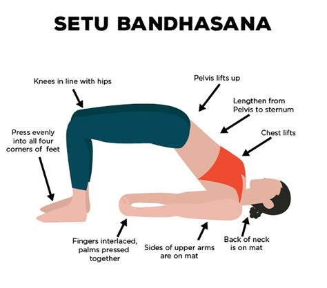 Setu Bandhasana, Yoga For Migraines, Yoga Ashtanga, Yoga Kundalini, Frosé, Bridge Pose, Yoga Style, Gatsby Party, Ashtanga Yoga