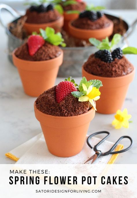 These little flower pot cakes are a fun and tasty dessert idea for spring or Easter. Made with your favourite chocolate cake, then topped with frosting, crumbs, fresh fruit, mint and flowers. Learn how to make these adorable desserts! #springdesserts #easterdesserts #flowerpotcake Adorable Desserts, Flower Pot Cake, Pot Cake, Chocolate Crumbs, Pot Cakes, Tasty Dessert, Spring Desserts, Chocolate Flowers, Edible Gifts