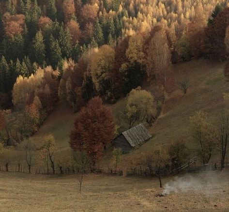 Dark Academia Wallpaper Laptop, Bag Of Oranges, Heir Of Slytherin, The Autumn Court, Brown Aesthetic Pictures, Summer Collapsed Into Fall, Evermore Aesthetic, Autumn Court, Autumn Leaves Falling