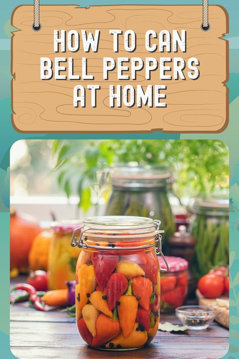 Can Peppers, Growing Capsicum, Canning Bell Peppers, Preserving Peppers, Peach Healthy, Salsa Canning Recipes, Canning Tomatoes Recipes, Water Bath Canning Recipes, Easy Canning