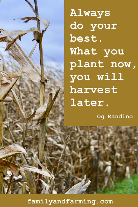 Inspiration, Inspirational Quotes, Do Your Best, Motivational Quote, Farm Quote, Farm Sayings, Inspirational Sayings, Og Mandino, Og Mandino Quotes, Farm Life, Farming, Farms, Farm Landscape Land Ownership Quotes, Quotes About Farm Life, Farm Quotes Inspirational, Farmers Market Quotes, Farm Sayings, Bumblebee Apothecary, Og Mandino Quotes, Farming Quotes, Agriculture Quotes