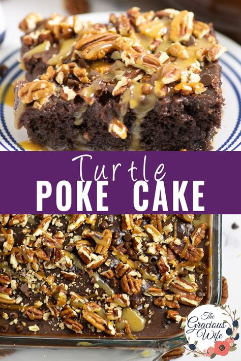 This indulgent Turtle Poke Cake takes chocolate cake to a whole new level with a simple chocolate cake mix filled with caramel and sweetened condensed milk and topped with the absolute best pour-on chocolate frosting to fill in all of the poke-holes. Top it off with tons of chopped pecans, mini chocolate chips, and caramel and chocolate sauce. Simple Poke Cake, Turtle Dump Cake Recipes, Poke Cake Recipes Condensed Milk, Turtle Poke Cake Recipe, Chocolate Caramel Poke Cake, Turtle Poke Cake, The Best Chocolate Frosting, Best Chocolate Frosting, Wife Recipes