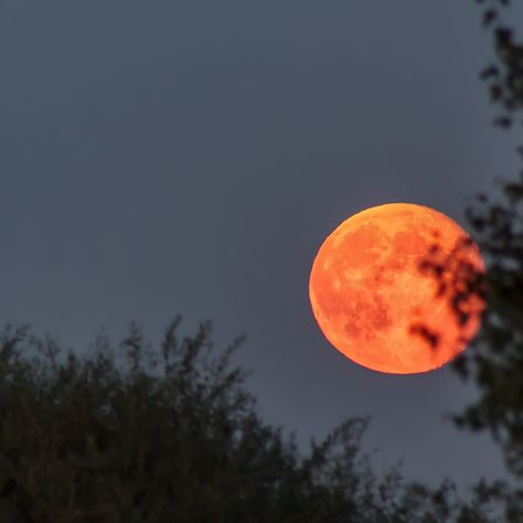 Luna roja, el significado y las profecías antiguas - WeMystic Night Vibes, Aesthetic Colors, Celestial Bodies, Moon, Orange, Color