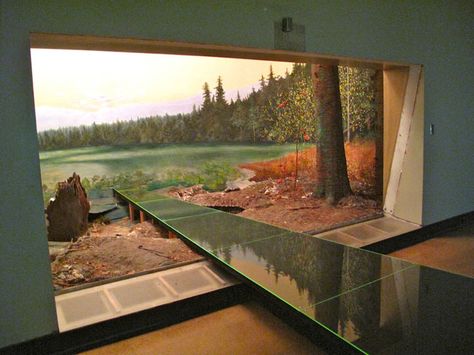 Diorama Art, Museum Exhibition Design, Interactive Walls, Stage Set Design, Open Art, Grand Rapids Michigan, Stage Set, Art Contest, Museum Exhibition