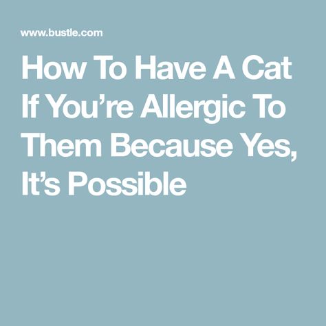 How To Have A Cat If You’re Allergic To Them Because Yes, It’s Possible Cat Neutering, Allergic To Cats, Cat Skin, Cat Allergies, Pet Allergies, Russian Blue Cat, Owning A Cat, Hairless Cat, Three Cats