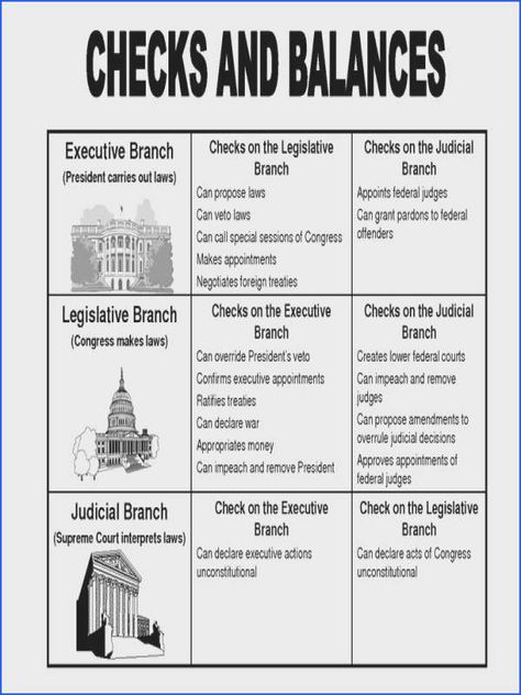 3 Branches Of Government, Government Lessons, Teaching Government, Checks And Balances, 3rd Grade Social Studies, Legislative Branch, 4th Grade Social Studies, 5th Grade Social Studies, Branches Of Government