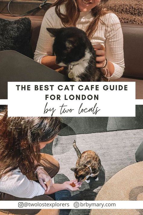 girl holding and feeding cat at cat cafe in London Cat Cafes, Afternoon Tea In London, Tea In London, Romantic Destinations, Cat Cafe, Best Cat, Oh The Places Youll Go, Cool Cats, Us Travel