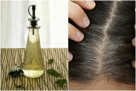 How To Make A Sage Vinegar Rinse To Darken Gray Hairs Darken Hair Naturally, Apple Cider Vinegar Foot Soak, Water Retention Remedies, Apple Cider Vinegar Rinse, How To Darken Hair, Dark Grey Hair, Vinegar Rinse, Covering Gray Hair, Natural Gray Hair