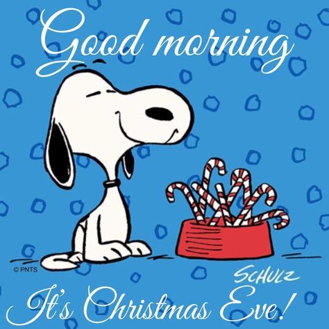 Christmas Eve Quotes, Good Morning Christmas, Happy Christmas Eve, Snoopy Comics, Its Christmas Eve, Snoopy Images, Merry Christmas Eve, Snoopy Quotes, Peanuts Christmas