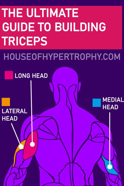 Medial Head Tricep Workout, Long Head Tricep Workout, Inner Tricep Workout, Tricep Muscle Anatomy, Lateral Head Tricep Exercises, Tricep Long Head Workout, Long Head Tricep Exercise, Tricep And Chest Workout, Tricep Heads