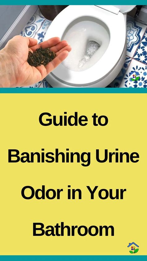 Urine odor is one of the most annoying and unpleasant odors that you thought is hard to get rid of. Let us prove you wrong. Since every problem has a solution, we would like to suggest the perfect solutions to effectively eliminate unpleasant odors and keep the bathroom clean and fresh. I-Get rid of urine […] Get Rid Of Urine Smell In Bathroom, Human Urine Odor Remover, Every Problem Has A Solution, Cloudy Urine, Toilet Drain, Urine Odor, Lips Photo, Urine Smells, Nerve Pain Relief