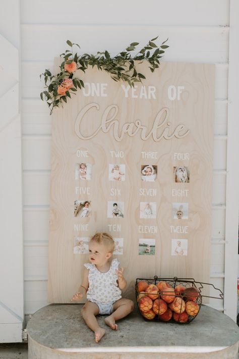 Charlotte’s 1st Peachy Party - Whiskey and Lace by Erika Altes 1st Birthday Girl Decorations, 1st Birthday Party For Girls, Peach Party, 1st Birthday Themes, Girl Birthday Themes, First Birthday Party Themes, First Birthday Themes, First Birthday Decorations