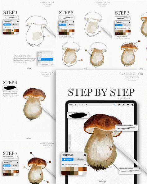 Step by Step Tutorial in Procreate - Porcini Mushroom ✏️ The sketch, color palette, PDF guide are available on my Patreon for FREE. Link in bio ✨ ✏️ Watercolor Procreate Brushes. Link in bio ✨ ✏️ Unlock process videos, step-by-step guides, sketches and color palettes by joining my Patreon! Link in bio ✨ #procreatebrushes #procreate #watercolor #digitalwatercolor #stepbystep #tutorial #procreatebrushset #sketching #ipad #digitalsketches #drawingprocess #dailydrawing #illustrator #watercolor_d... Procreate Illustration Tutorial, Procreate Tutorial Step By Step, Procreate Drawing Tutorials, Procreate Step By Step, Watercolor Procreate, Porcini Mushroom, Procreate Watercolor, Best Procreate Brushes, Procreate Ipad Tutorials