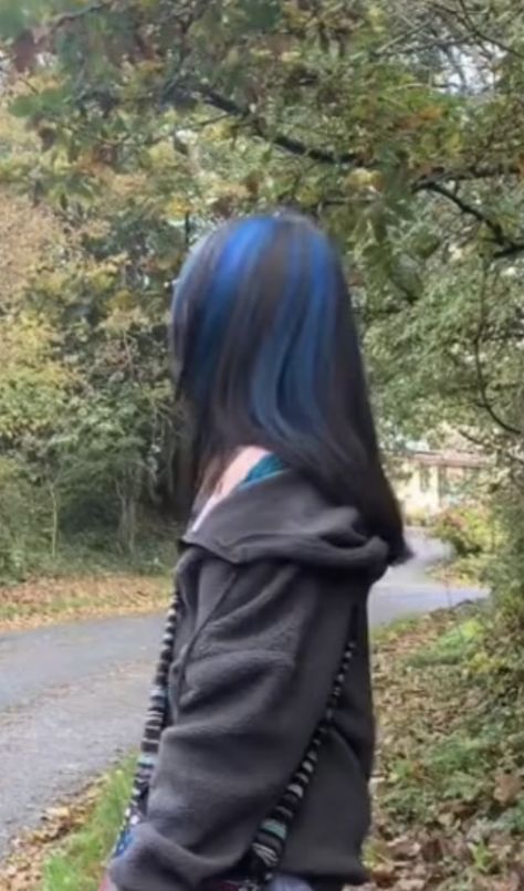 Dark Blue Brown Hair, Blue Racoon Tail Hair, Light Brown Hair With Blue Highlights, Dark Red Hair Highlights, Blue Skunk Hair, Blue And Brown Hair, Blue Hair Streaks, Blue Brown Hair, Blue Hair Highlights